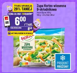 Polomarket Zupa Hortex wiosenna 9-składnikowa oferta