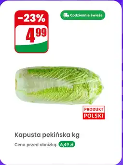 Dino Kapusta pekińska Dino oferta