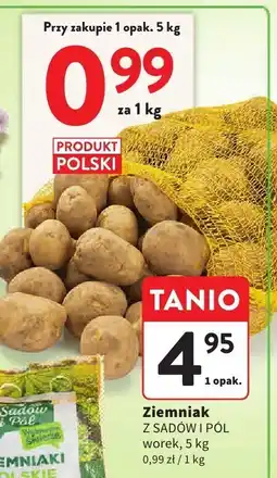 Intermarche Ziemniak Z SADÓW I PÓL worek oferta