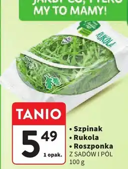 Intermarche Roszponka Z SADÓW I PÓL oferta