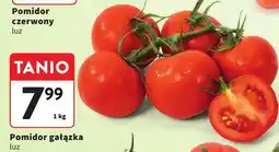 Intermarche Pomidor gałązka luz Intermarche oferta