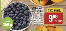 Polomarket Borówki amerykańskie POLOmarket oferta