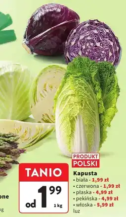 Intermarche Kapusta biała luz Intermarche oferta