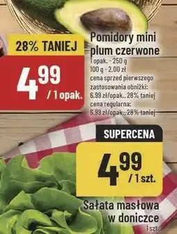 Polomarket Sałata masłowa w doniczce POLOmarket oferta