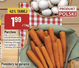 Polomarket Pomidory na gałązce POLOmarket oferta