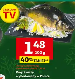 Auchan Karp świeży, wyhodowany w Polsce Auchan oferta