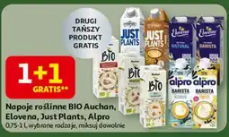 Auchan Napój sojowy naturalny Auchan Bio oferta