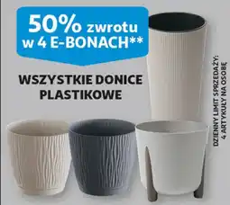 Auchan Donica plastikowa oferta