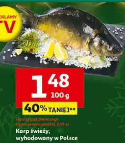 Auchan Karp świeży oferta