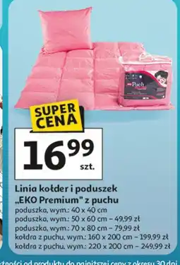 Auchan Poduszka eko premium 40 x cm Amw oferta