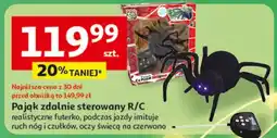 Auchan Pająk zdalnie sterowany oferta