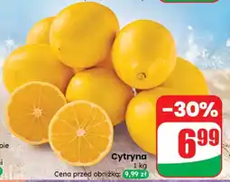 Dino Cytryna Dino oferta