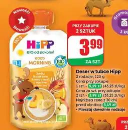 Dino Deser w tubce Hipp 2 rodzaje oferta