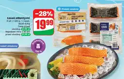 Dino Łosoś atlantycki Dino oferta