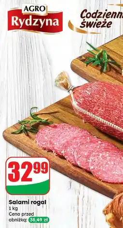 Dino Salami rogal Agro Rydzyna oferta