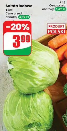 Dino Sałata lodowa Dino oferta