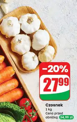 Dino Czosnek Dino oferta