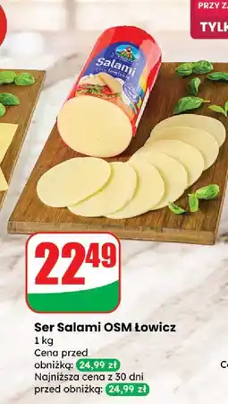 Dino Ser Salami OSM Łowicz oferta