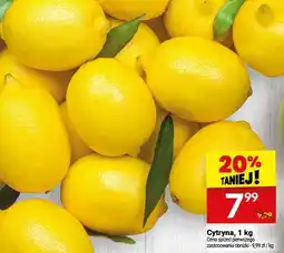 Twój Market Cytryna, 1 kg Twój Market oferta