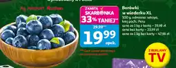 Auchan Borówki w wiaderku XL Auchan oferta