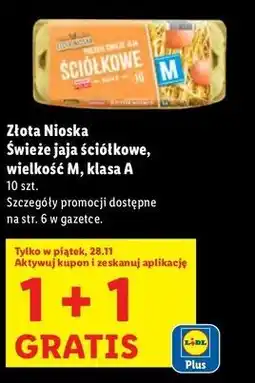 Lidl Zołota Nioska Świeże jaja ściółkowe , wielkość M, Klasa A oferta