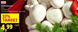 Lidl Polskie pieczarki oferta