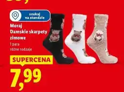 Lidl Moraj Damskie skarpety zimowe oferta
