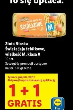 Lidl Jaja ściółkowe kl. m Złota Nioska oferta