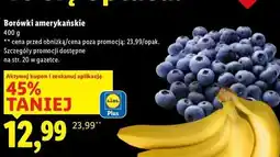 Lidl Borówki amerykańskie oferta