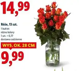 Lidl Róże, 13 sztuk oferta