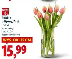 Lidl Polskie tulipany, 7 szt oferta