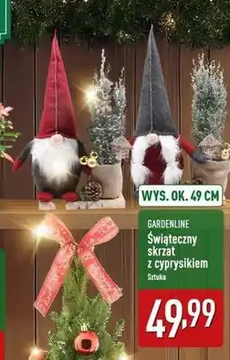 ALDI Skrzat świąteczny z cyprysikiem Gardenline oferta