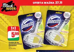 Dino Kostka do wc citrus Domestos 3In1 Power oferta