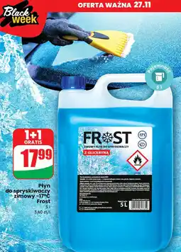 Dino Płyn do spryskiwaczy zimowy Frost-Schutz oferta