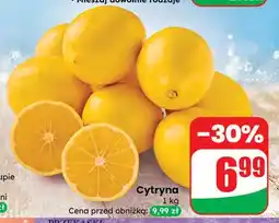 Dino Cytryny oferta