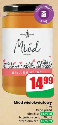 Dino Miód wielokwiatowy nektarowy Cd Królowa Pszczół oferta