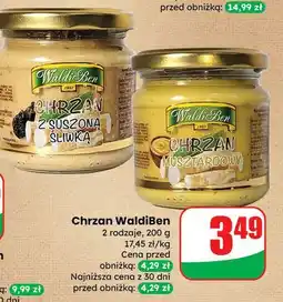 Dino Chrzan musztardowy Waldiben oferta