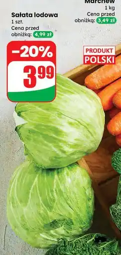 Dino Sałata lodowa oferta