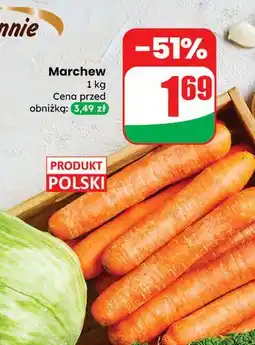 Dino Marchew polska oferta