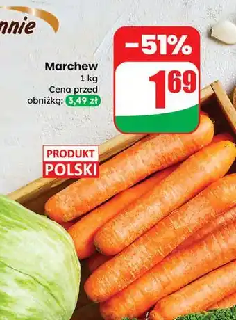 Dino Marchew polska oferta