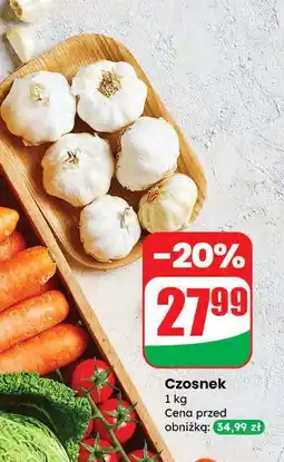 Dino Czosnek oferta