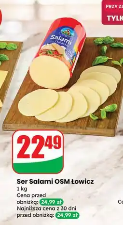 Dino Ser salami Łowicz 1906 oferta