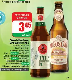 Dino Piwo pils Browar Grodzisk oferta