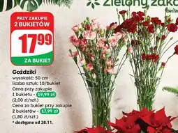 Dino Goździki 50 cm oferta