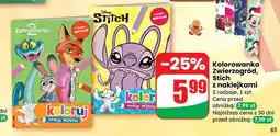 Dino Kolorowanka zwierzogród i naklejki oferta