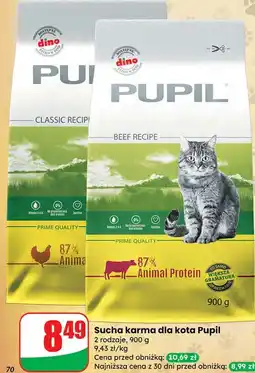 Dino Karma dla kota z wołowiną Pupil oferta