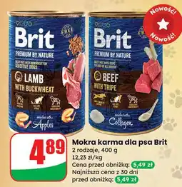 Dino Karma dla psa z wołowiną Brit Premium By Nature oferta