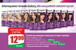 Dino Farba do włosów 1-0 Palette Intensive Color Creme oferta