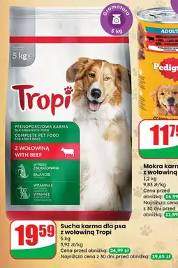 Dino Karma dla psa z wołowiną Tropi oferta