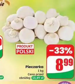 Dino Pieczarki oferta